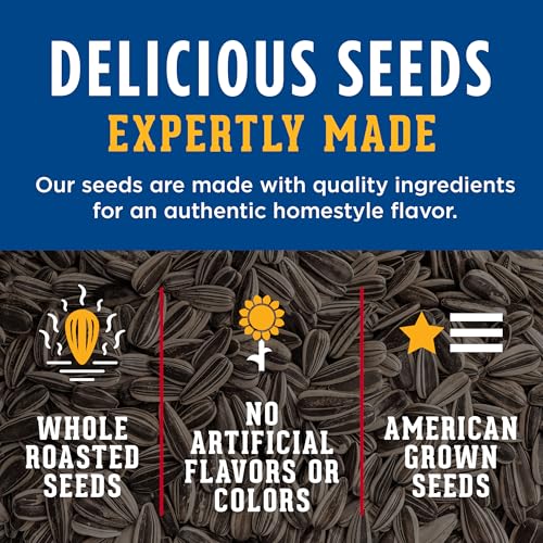 DAVID Jumbo Sunflower Seeds, Original Flavor, 16 oz. | 8g protein per serving; Original flavor; great for baseball games & road trips; also perfect for desk snacking