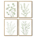 Drsoum Botanical Plant Framed Wall Art Boho Wall Decor for Bathroom Sage Green Eucalyptus Leaf Prints Minimalist Aesthetic Ready to Hang Set of 4, 8x10 in (Natural Framed)