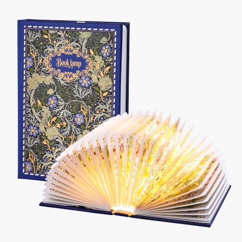 Ba suns Book Lamp Decor, Gift for Book Lovers, Rechargeable Book Light | Reading Light, Portable Paper Lamp with Touch Control, Decor for Home Library Bookshelf, Gift for Women Readers (Blue)