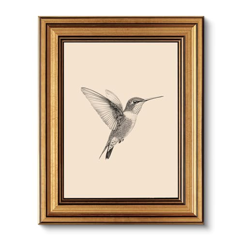 VIYYIEA Vintage Gold Framed Wall Art – Hummingbird Sketch Prints, 8x10 IN | Cute yet exquisite, Bathroom wall decor, High quality frame