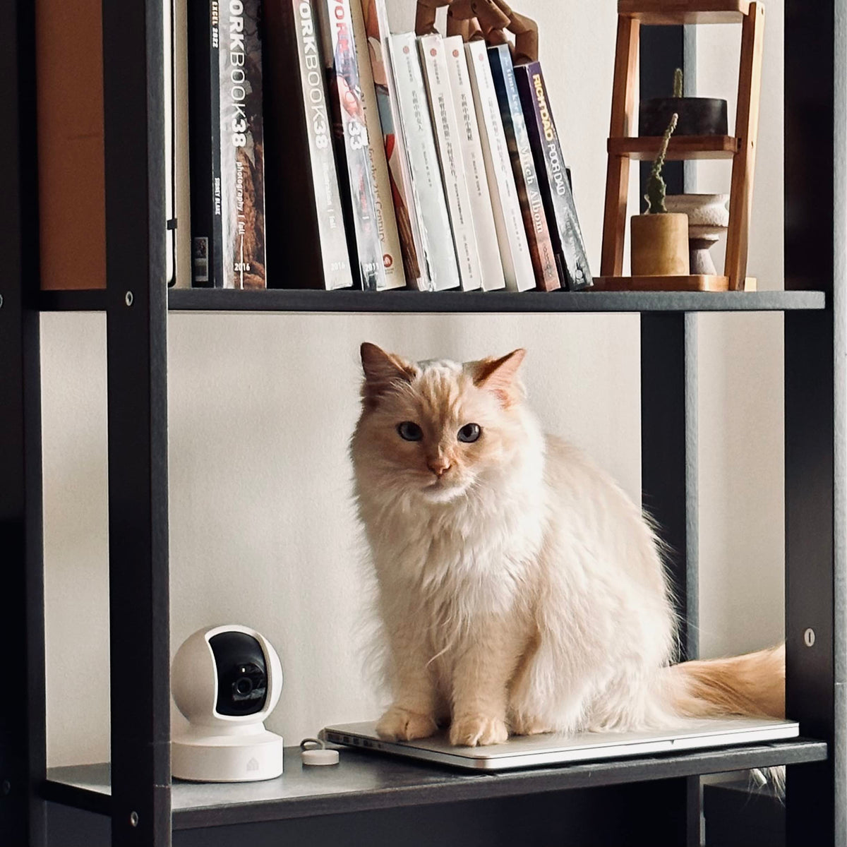 Kasa 1080p Indoor Pan/Tilt Wired Security Camera, Baby & Pet Monitor, EC70 | Motion Detection & Tracking, 2-Way Audio, Night Vision, Subscription-Free Local Storage or Optional Cloud