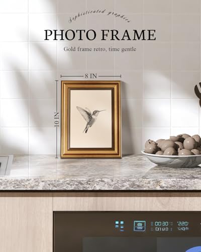 VIYYIEA Vintage Gold Framed Wall Art – Hummingbird Sketch Prints, 8x10 IN | Cute yet exquisite, Bathroom wall decor, High quality frame