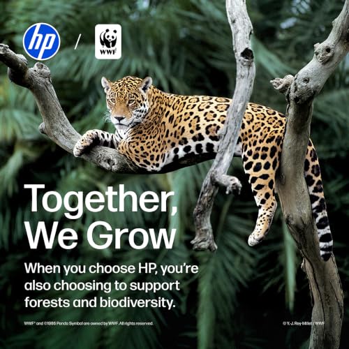 HP 67XL Black High-Yield Ink Cartridge | Works with DeskJet 1255, 2700, 4100, Envy 6000, 6400 Series | Eligible for Instant Ink | 3YM57AN | Packaging May Vary
